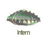 Intern