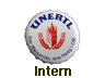 Intern